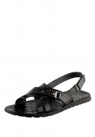 ������� ����� �������� �������� �������